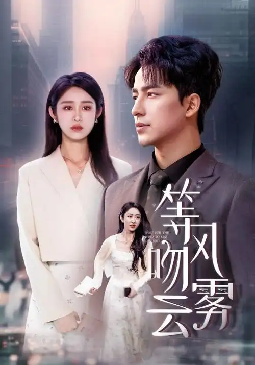 玫瑰的故事 电视剧海报